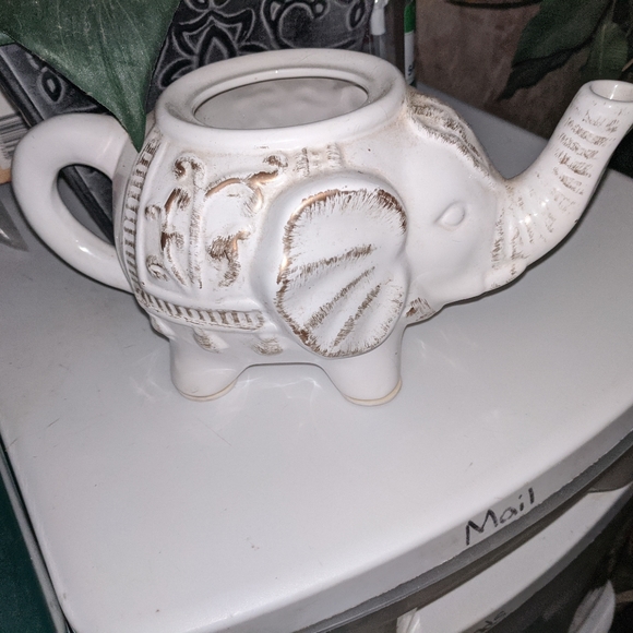 Elephants - Picture 14 of 15